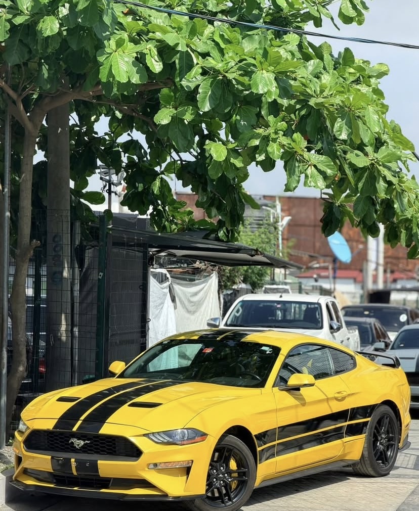 Cropped Faux leather Jacket